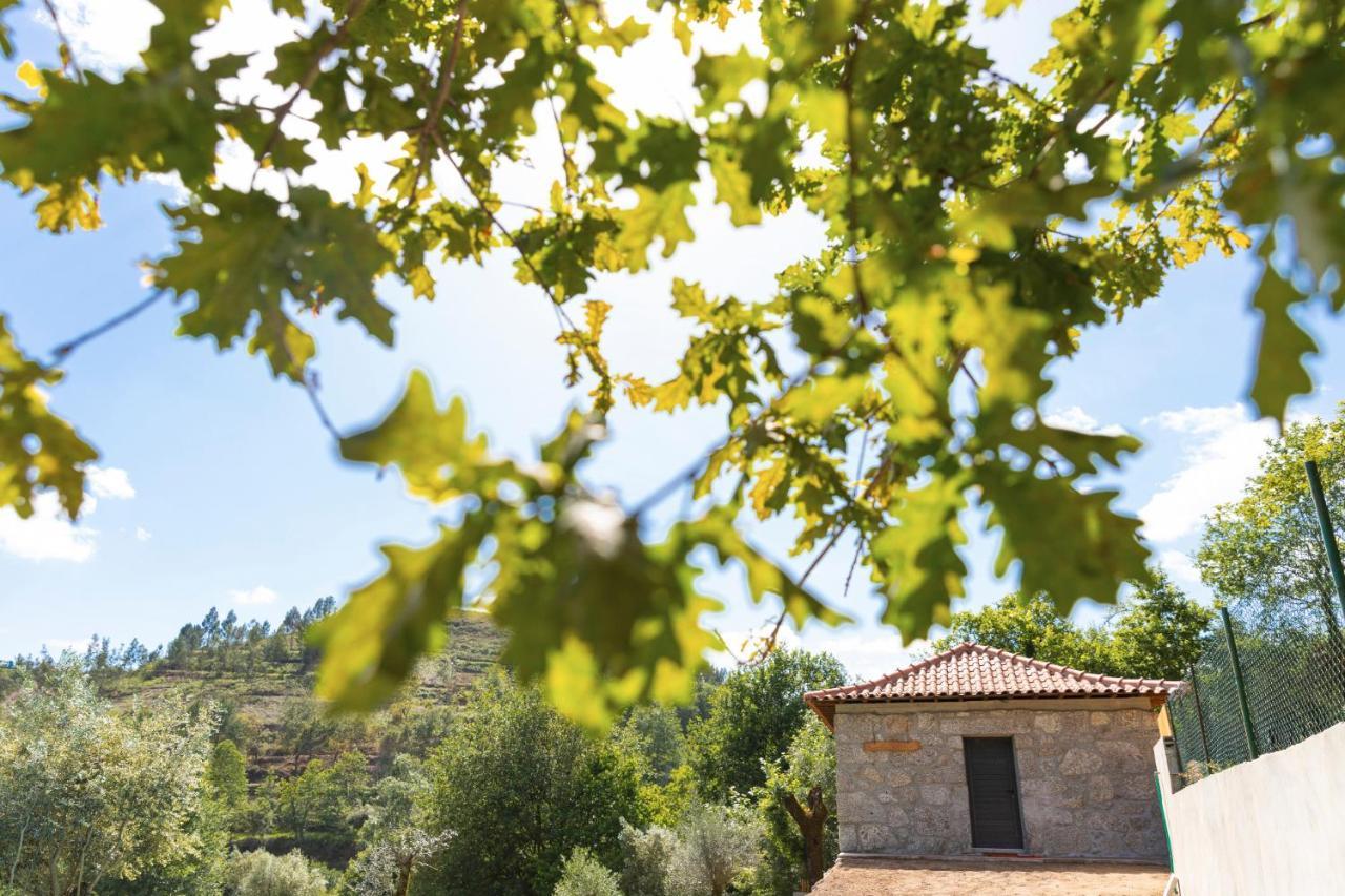 Ferienhaus Casa Velha De Ponta Soto Cela (Vila Verde, Braga)